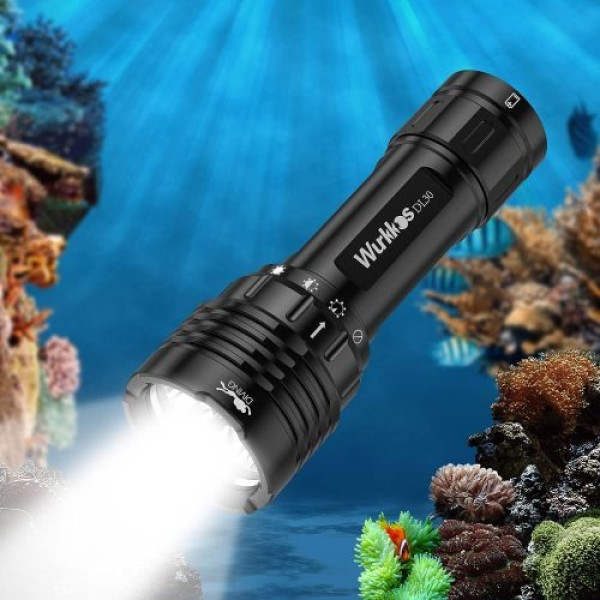 resizem_lfith_500w_500-1