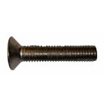 Vis en Inox de 30mm OMS