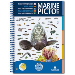 Marine Picto Life – Mer Méditerranée (EN/DE/FR/ES/IT)